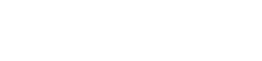 Optimus Financing